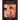 Litplan Teacher Pack: The Midwife's Apprentice