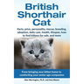 British Shorthair Cat: From bringing your kitten home to comforting your senior age beloved companion