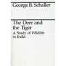 The Deer and the Tiger