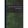 The Social Life of Animals