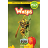 Wasps: Backyard Bugs and Creepy-Crawlies (Engaging Readers, Level Pre-1)