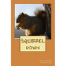 Squirrel Down