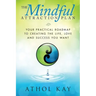 The Mindful Attraction Plan: Your Practical Roadmap to Creating the Life, Love and Success You Want