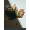 Esoteric Roots of Cranio Practice: Guiding Principles