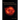 The Diversity of Neutron Stars: Nearby Thermally Emitting Neutron Stars and the Compact Central Objects in Supernova Remnants