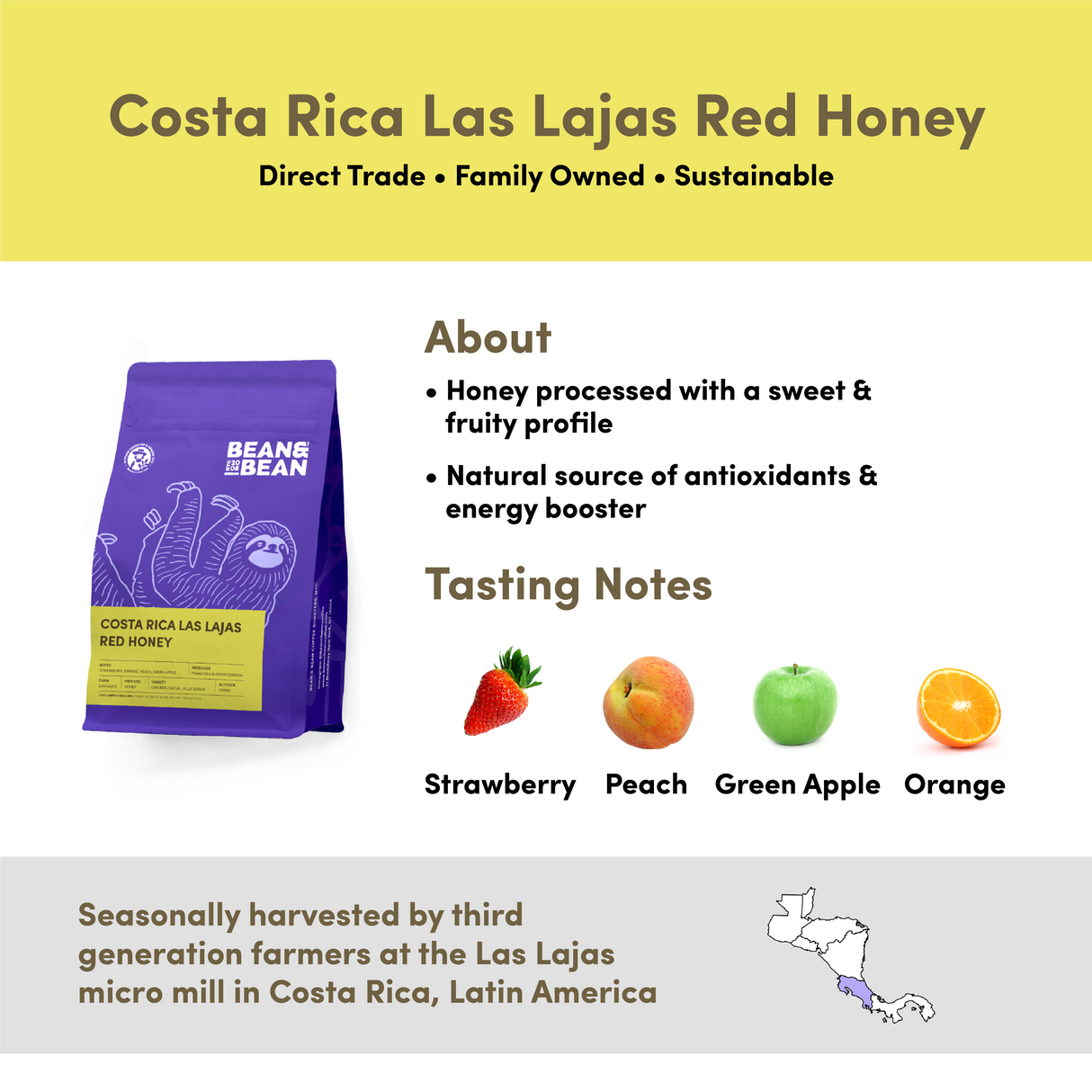 Costa Rica Honey Duo by Bean & Bean Coffee Roasters