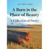 A Burn in the Place of Beauty: A Collection of Poetry