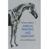 Animal Painting and Anatomy