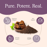 Organic Chaga Extract Powder by Real Mushrooms