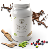 Vegan Protein Chocolate Milkshake by A Quality Life Nutrition