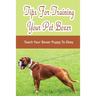 Tips For Training Your Pet Boxer: Teach Your Boxer Puppy To Obey: The Boxer'S Temperament
