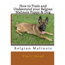How to Train and Understand Your Belgian Malinois Puppy & Dog