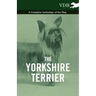 The Yorkshire Terrier - A Complete Anthology of the Dog