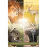 God's Little Creatures: A Children's Daily Devotional with Animal Facts to Help Teach God's Word