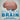The Human Brain - Biology for Kids Children's Biology Books