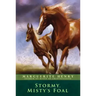 Stormy, Misty's Foal
