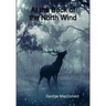 At the Back of the North Wind