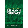 The Concept of a Riemann Surface