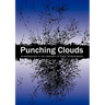 Punching Clouds: An Introduction to the Complexity of Public Decision-Making
