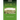 Level 7