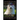 Coton de Tulear Training Book for Coton De Tulear Dogs & Coton De Tulear Puppies By D!G THIS DOG Training Dog, Training Begins From the Car Ride Home,
