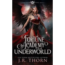 Fortune Academy Underworld: Book Five