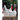 The Leghorn Fowl: A Guide to Leghorn Chickens
