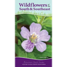 Wildflowers of the South & Southeast: Your Way to Easily Identify Wildflowers