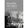 Shades of Grey: A Political Memoir of Modern Indonesia 1965-1998