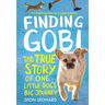 Finding Gobi: Young Reader's Edition: The True Story of One Little Dog's Big Journey