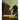 Intergalactic Travels: poems from a fugitive alien