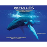 Whales: The Complete Guide For Beginners & Early Learning