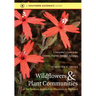 Wildflowers and Plant Communities of the Southern Appalachian Mountains and Piedmont: A Naturalist's Guide to the Carolinas, Virginia, Tennessee, and
