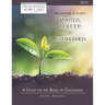 Delighting in Christ: Rooted, Built-Up, and Established: A Study on the Book of Colossians (Delighting in the Lord Bible Study)