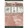 Trees & Shrubs of the Trans-Pecos and Adjacent Areas