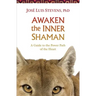 Awaken the Inner Shaman