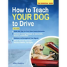 How to Teach Your Dog to Drive: The Essential Guide