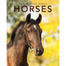 Horses: Amazing Pictures & Fun Facts on Animals in Nature