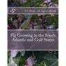 Fig Growing in the South Atlantic and Gulf States