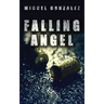 Falling Angel