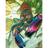 General Freshwater-Crustacean Practice: Fresh- & Brackish-Water Crayfish, Shrimps, Prawns, Crabs, Hermits & Horseshoe Crabs