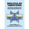 Molecular Vibrations: The Theory of Infrared and Raman Vibrational Spectra