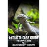Axolotl care guide: The complete guide for a healthy and happy mud puppy