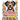 Cute Cats and Dogs Paper Quilling Art Design Images Collection: A collection of quilling paper crafting images design