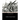 The Great Boer War