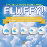 Those Clouds Sure Look Fluffy! Weather Books Grade 4 Children's Earth Sciences Books