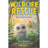 How to Save an Owl