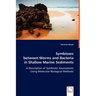 Symbioses between Worms and Bacteria in Shallow Marine Sediments
