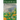 Dandelions in Third Space