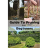 Guide To Pruning For Beginners: A Guide To Pruning Trees And Shrubs